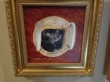 cat_in_basket 12 x 12